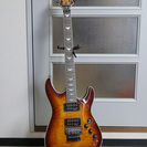 シェクターのエレキギター　(SCHECTER) DIAMOND ...