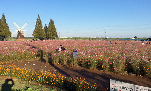 日本初 収穫体験付きbbq 自分で採る無農薬野菜に たっぷり地元野菜 野菜が主役のbbq ベジq 柏あけぼの山農業公園 4月オープン 3 シェアbatake 我孫子の焼肉の無料広告 無料掲載の掲示板 ジモティー