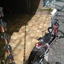 【新古車】Schwinn(シュウィン)　クルーザー　傷あり格安