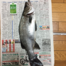 釣り友達 − 和歌山県
