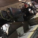 【本日なら4万！】至急明日まで激安  ズーマー50