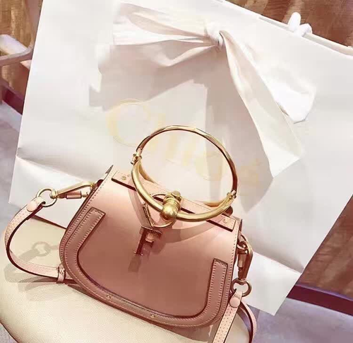 Chole　Nile最新型　スモールプレスレットバッグ