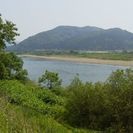 釣り仲間募集 − 宮城県