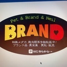 ペットショップ　伊勢崎ペットBRAND 