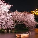 4月2日(4/2)  横浜日本庭園お花見ライトアップNightウ...
