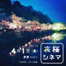 【夜桜シネマin茂原公園】4/1 18:00-