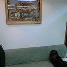 歯科医院の備品いろいろ無料　完全に合法です