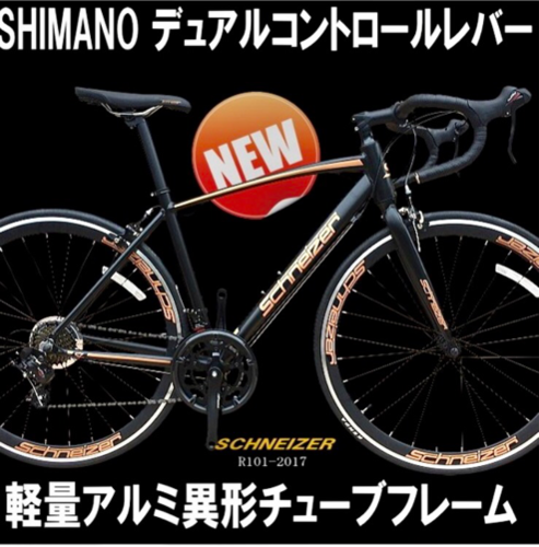 SCHNEIZER R101 シュナイザー 700×23C