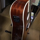 ☆明日、3月25日限定！☆【 エピフォン 】アコギ【 ハミングバード】