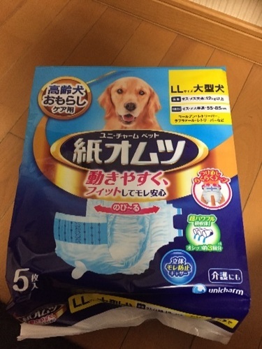 大型犬のオムツ