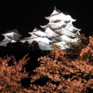 姫路城で夜桜パーティー(✿´꒳`)ﾉ