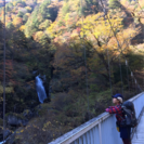 登山仲間募集 - 静岡市