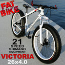 VICTORIA FAT BIKE 26x4.0★ファットバイク...