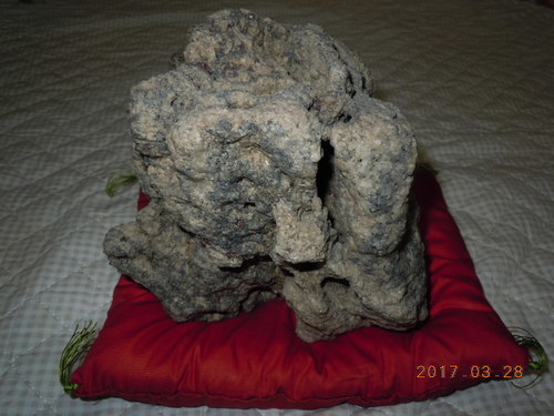 南極の石　希少　貴重　レア　入手困難