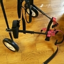 中型犬用介護歩行補助器具 犬用車椅子