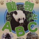 はじめての英語　動物とABC（2才～6才向け）DVD