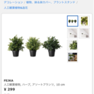 IKEA FEJKA 観葉植物 造花