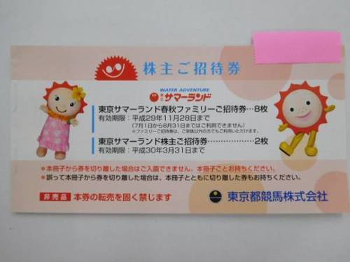 東京サマーランド☆株主優待☆フリーパス1冊（10枚）送料無料