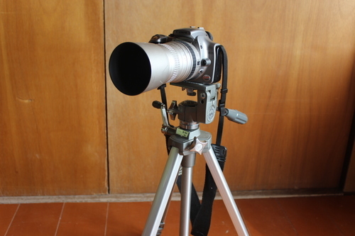canon EOS Kiss Digital カメラ