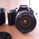 Contax N1 + Vario-Sonnar 24-85mm F3.5-4.5 ックス eos7+レンズおまけ
