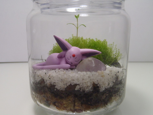 ポケモンテラリウムエーフィー２ ｗｉｎｇ 曽根のインテリア雑貨 小物 置物 オブジェ の中古あげます 譲ります ジモティーで不用品の処分