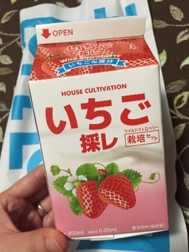 ワイルドストロベリー栽培キット O0ryoko0o 本厚木のその他の中古あげます 譲ります ジモティーで不用品の処分