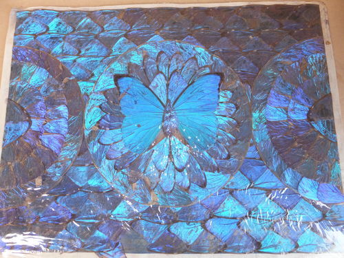 ブラジル蝶の羽貼り絵-