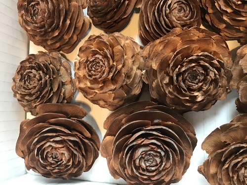 シダーローズ 松ぼっくり薔薇のような可憐な松かさ天然リースづくり ハンドメイドクラフト材料ナチュラル雑貨好きな方に はな たまプラーザの家庭用品 ガーデニング の中古あげます 譲ります ジモティーで不用品の処分