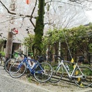 【サイクリング】メンバー募集 - スポーツ