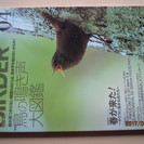 バーダー　ＢＩＲＤＥＲ　文一総合出版　１９９６年1月号～２０１６年１２月号　21年分252冊揃い