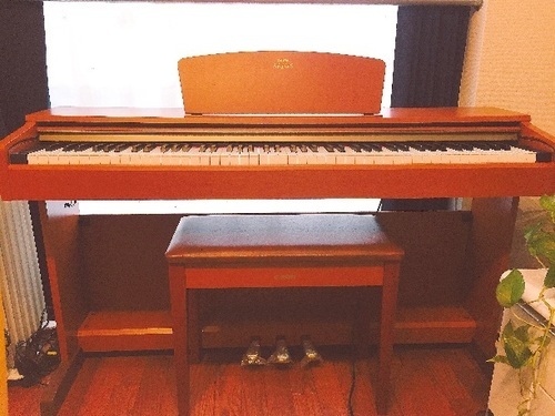 YAMAHA  ARIUS  美品です