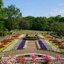 智光山公園植物園フリーマーケット - フリーマーケット