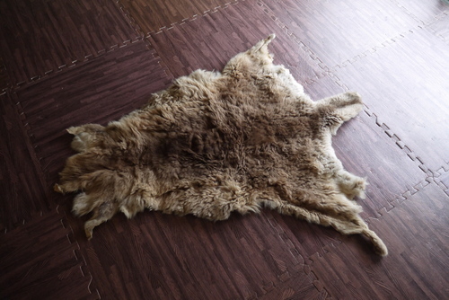 カンガルー毛皮オーストラリアで購入 ヒッサ 学園前のカーペット マット ラグの中古あげます 譲ります ジモティーで不用品の処分