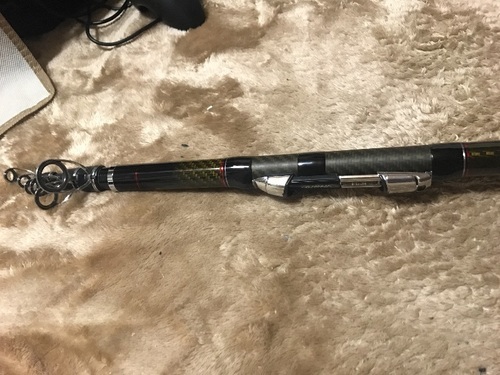 ダイワ ロッド ランドサーフT 30号-450・J