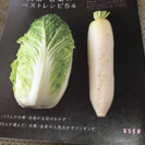 本 大根・白菜のベストレシピ54