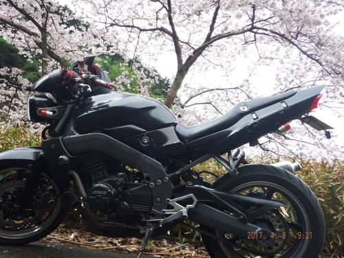 ザンザス400cc超希少車
