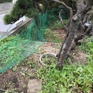 グリーンネット&園芸用の棒差し上げます。