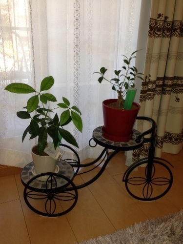 インテリア 自転車風 観葉植物 台 みい 松戸のインテリア雑貨 小物の中古あげます 譲ります ジモティーで不用品の処分