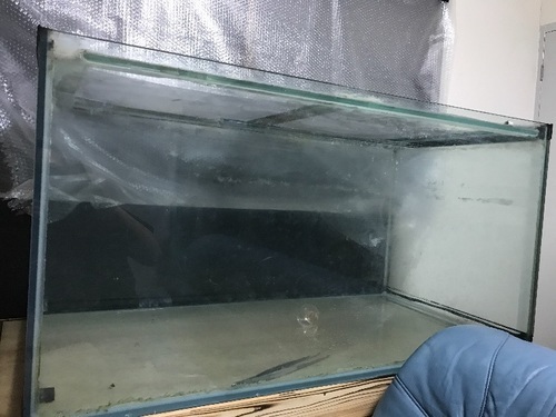 水槽 大型水槽 アロワナ 熱帯魚 1200水槽 120水槽