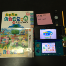 Nintendo 3DS 本体 どうぶつの森 セット