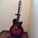 タカミネ TN520BS ギター