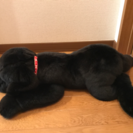 犬の大きなぬいぐるみ 値下げしました！