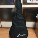 アコースティックギター Lumber