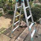 サビが出てきたので値下げ！ハセガワ伸縮脚立