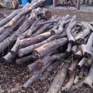 薪用の原木たくさんあります