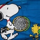 大東市立テニスコートで練習相手の募集です！