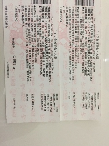 17食博覧会ペアチケット譲ります。 www.inversionesczhn.com
