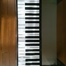 【美品】ハンドロールピアノ　49鍵　山野楽器　