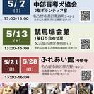 5月13日（土）猫の譲渡会 名古屋市港区 競馬場会館 みなと猫の会主催 - イベント