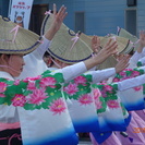 ほたる連、阿波踊り（踊り、お囃子）メンバー募集